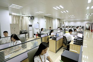 承德齐氏堂代理在线咨询服务最新动态与信息咨询服务指南