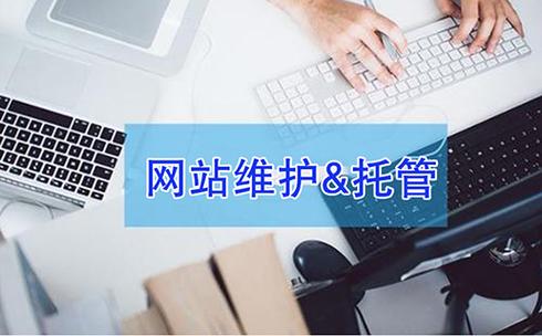 广州黑米科技 专业信息咨询服务赋能企业数字化转型