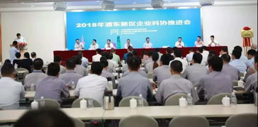 上海互联网软件集团 高端协同管理软件与信息咨询服务的领航者