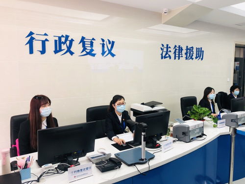 长春市减证便民 让数据跑代替群众跑，优化信息咨询服务