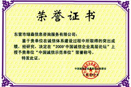 东营市绿森信息咨询服务有限责任公司 专业信息咨询服务的卓越提供者